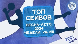 ТОП сейвов VII-VIII игровых недель чемпионата весна-лето [25.05-02.06.24]