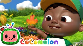 Row Row Stream Song Cody And Friends Sing With Cocomelon