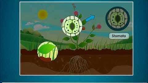 Incredible Science Class 4-Chapter 6-Page Number 59