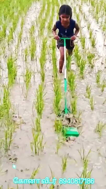 star cono wheeder | ஸ்டார் கோனா வீடர் #farmer#agriculture#paddy#tamil#modern#shortvideo