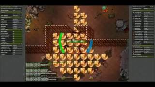 Free Scripts Windbot