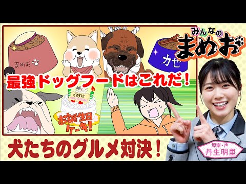 【犬のグルメ対決】声優・日向坂46丹生明里！犬たちのグルメ自慢対決！まみの愛情が明かに！？【”みんなのまめお” 全話フル公開Part10】
