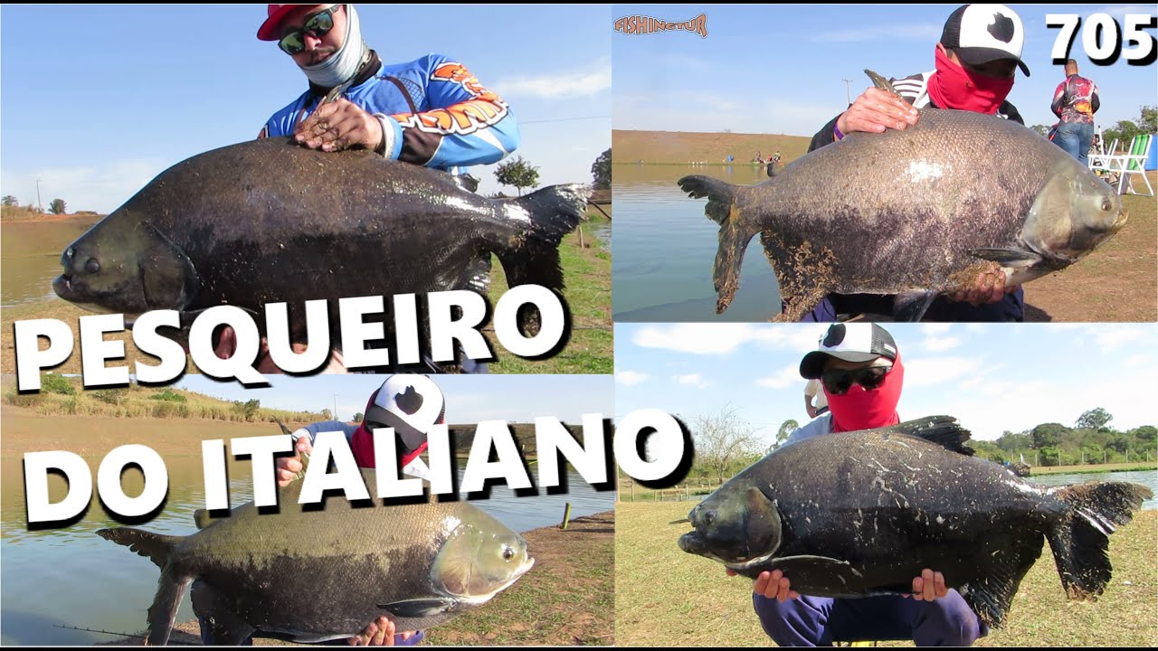 Pescaria de INVERNO do Pesqueiro do ITALIANO (FISHINGTUR #705)