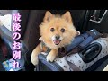 家族と最後のお別れ…今まで本当にありがとうございました…