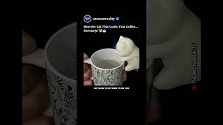 This Innovative Cat Gadget Cools Your Coffee. Heres How
