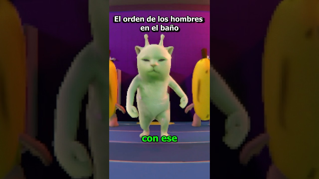 Cuál es el orden de los hombres en el baño explicado con gatos #gatosgraciosos