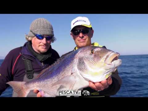 Come PESCARE Dentici e Prai con il calamaro vivo – Tubertini