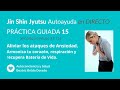 PRÁCTICA GUIADA 15. JIN SHIN JYUTSU. Aliviar ataques de Ansiedad (Práctica minuto 51:19).