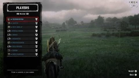 Red Dead Redemption 2 - Griefing gone wrong LOL