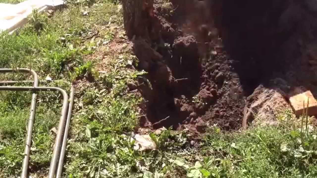 выкорчевывание пня трактором Volvo - YouTube