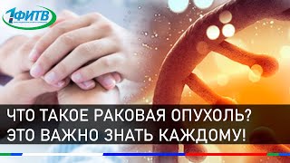 Онкология. Рак. Что такое раковая опухоль? Это жизненно важно знать каждому!