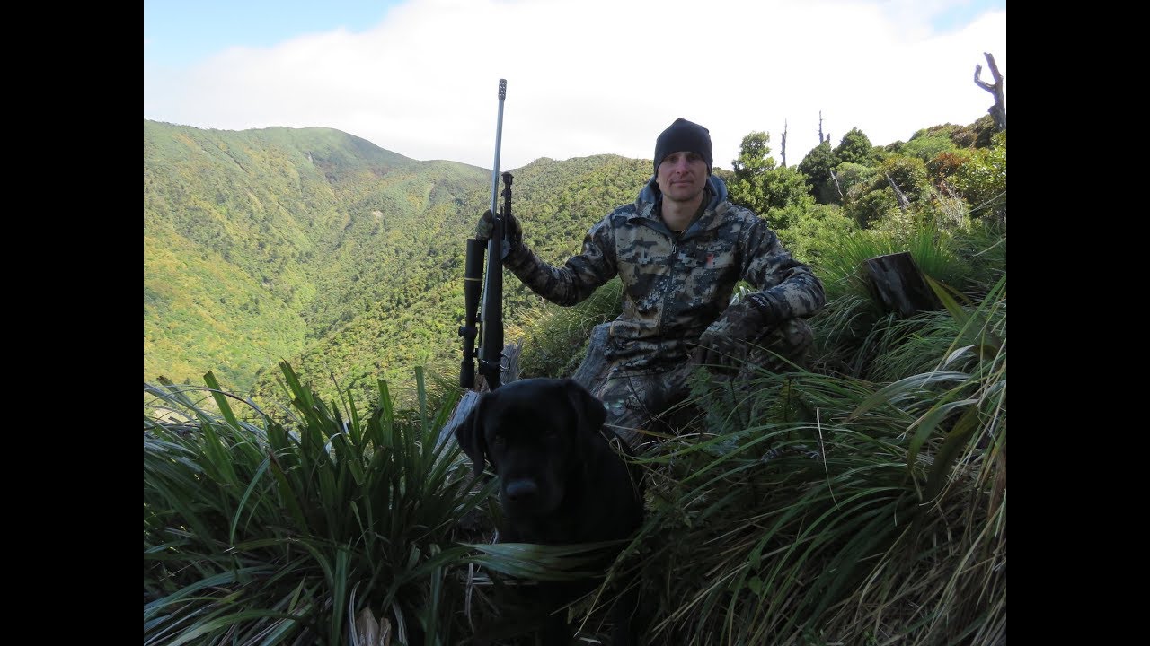 Red Deer Stakeout - Spring Hunting 2018