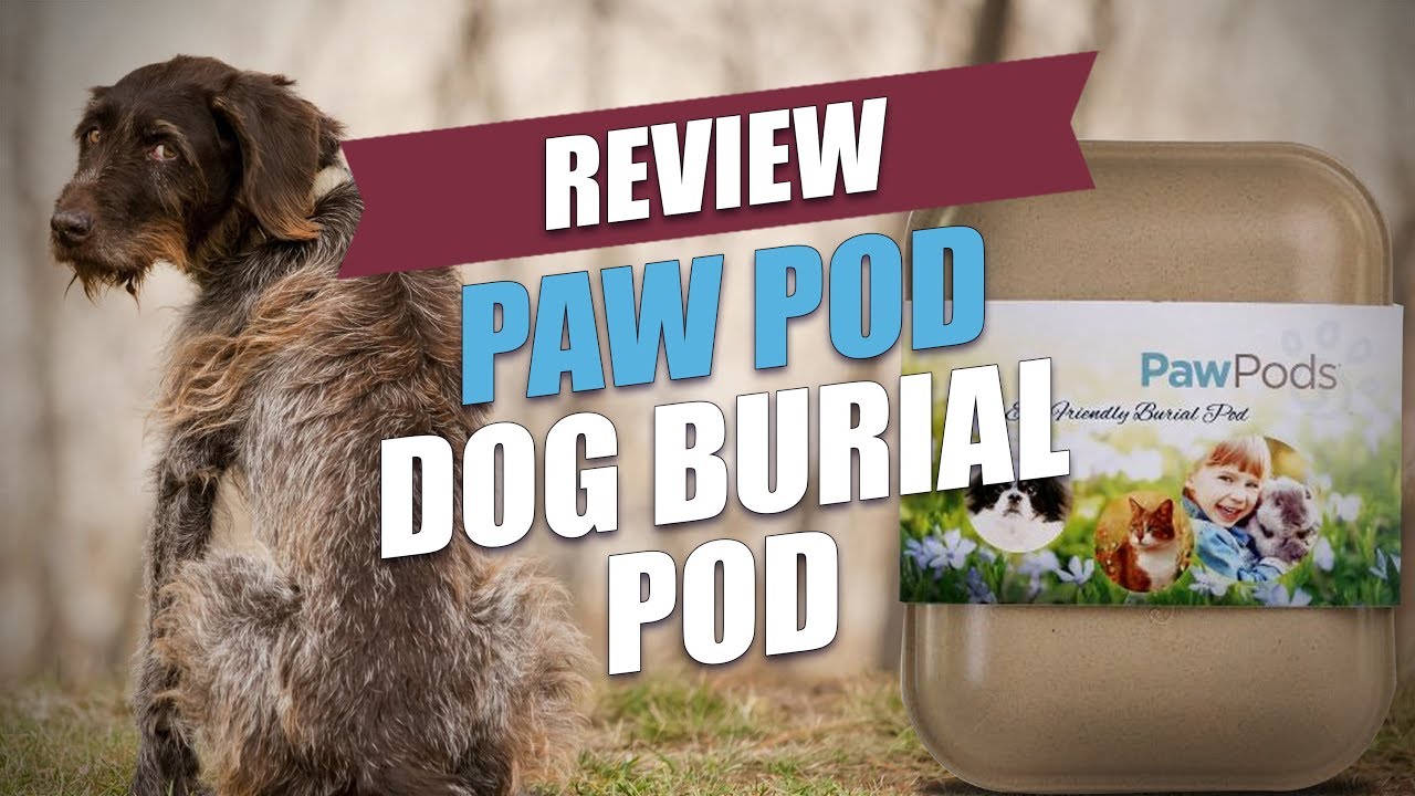 Paw Pod Dog Burial Pod Review YouTube