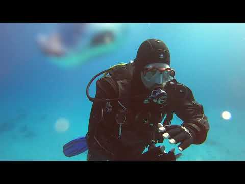 Hurghada Fanadir Dacht diving 3/3
