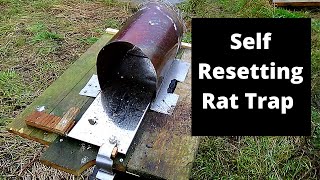 Wildlife friendly, DIY, automatic, self resetting rat trap design.