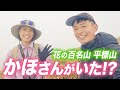 【平標山】かほさんが山頂に！花の百名山登山で梅雨の天気に大苦戦
