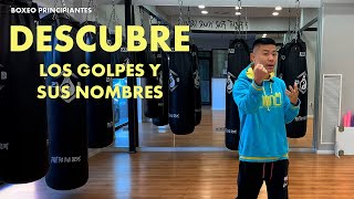 Boxeo para principiantes: Descubre los golpes y sus nombres #boxeo #nombres #golpes #tecnica