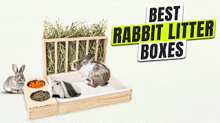 3 BEST Rabbit Litter Box - Your Bunny Deserves The Best!