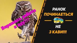 РАНОК ПОЧИНАЄТЬСЯ НЕ З КАВИ!!!