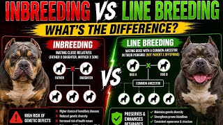 Inbreeding vs. Line Breeding: What's the Real Difference