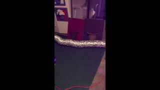 2x2 indoor grow tent with a Mars Hydro 300 watt LED light .