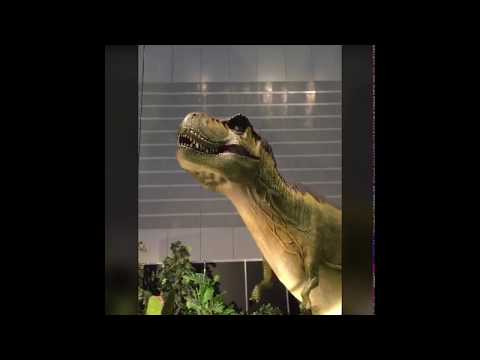 ヨコハマ【動く恐竜】恐竜展2017【動画+静止画】Dinosaur exhibition