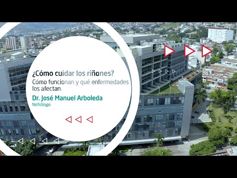 ¿Cómo cuidar los riñones? Cómo funcionan y qué enfermedades los afectan | Dr Responde