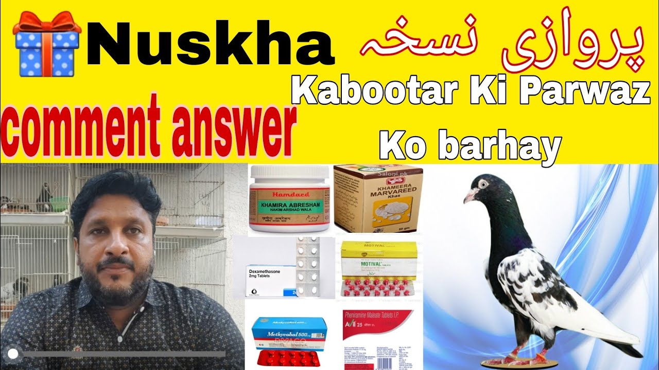 💯👌Parwazi Nuskha سوپر پروازی نسخہ|comment answer