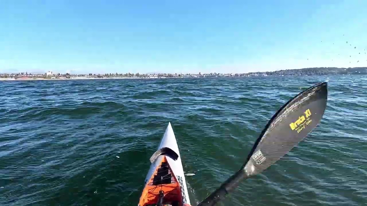 Jetty Island Downwind Sunday Oct 5 25