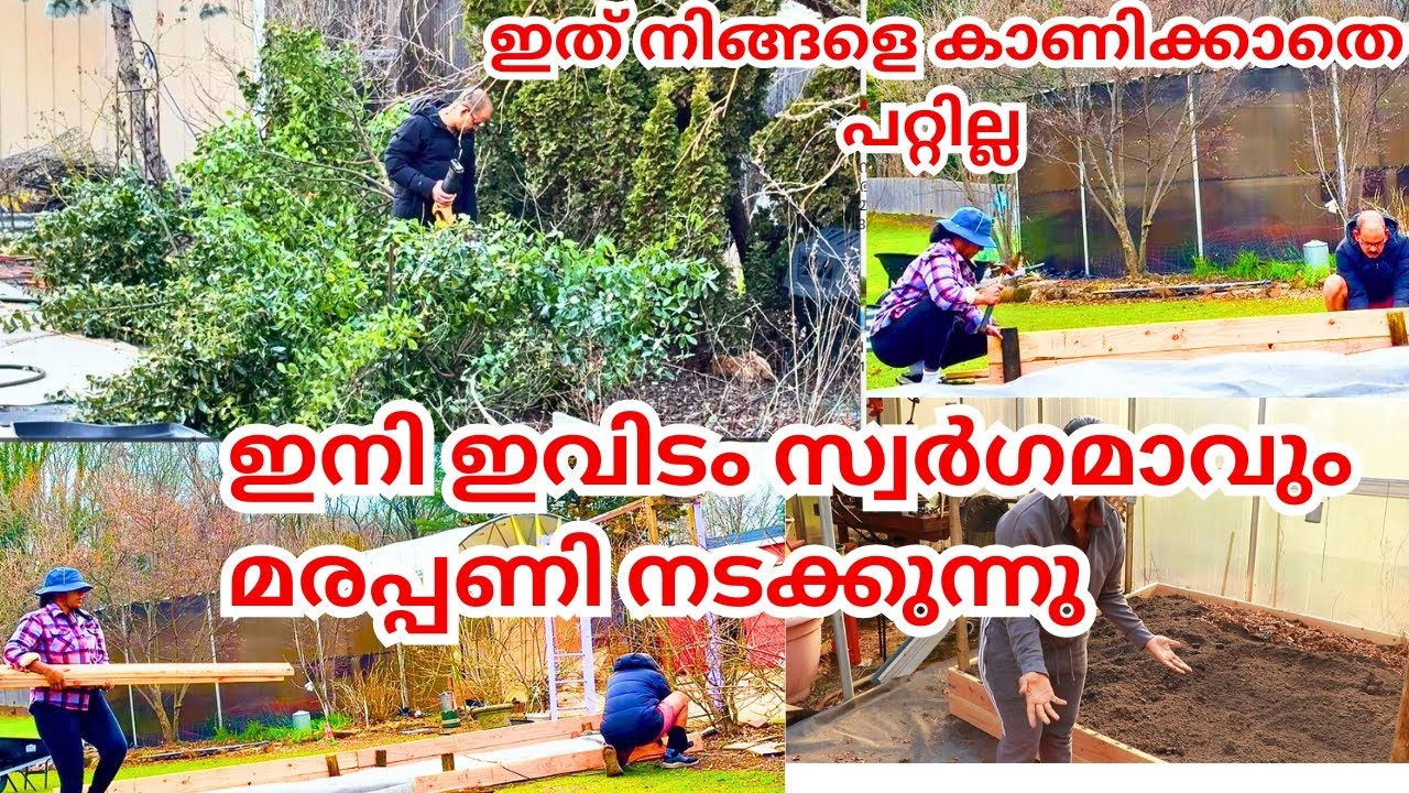 മരങ്ങൾ  എല്ലാം വെട്ടി മാറ്റുന്നു  പുതിയ വീടിനോട് ചേർന്ന് പുതിയ മാറ്റങ്ങൾ വരുത്തുന്നു  OUTSIDE VLOG