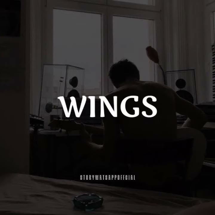Wings Terjemahan || Story Wa Lagu Barat Terbaru 2020