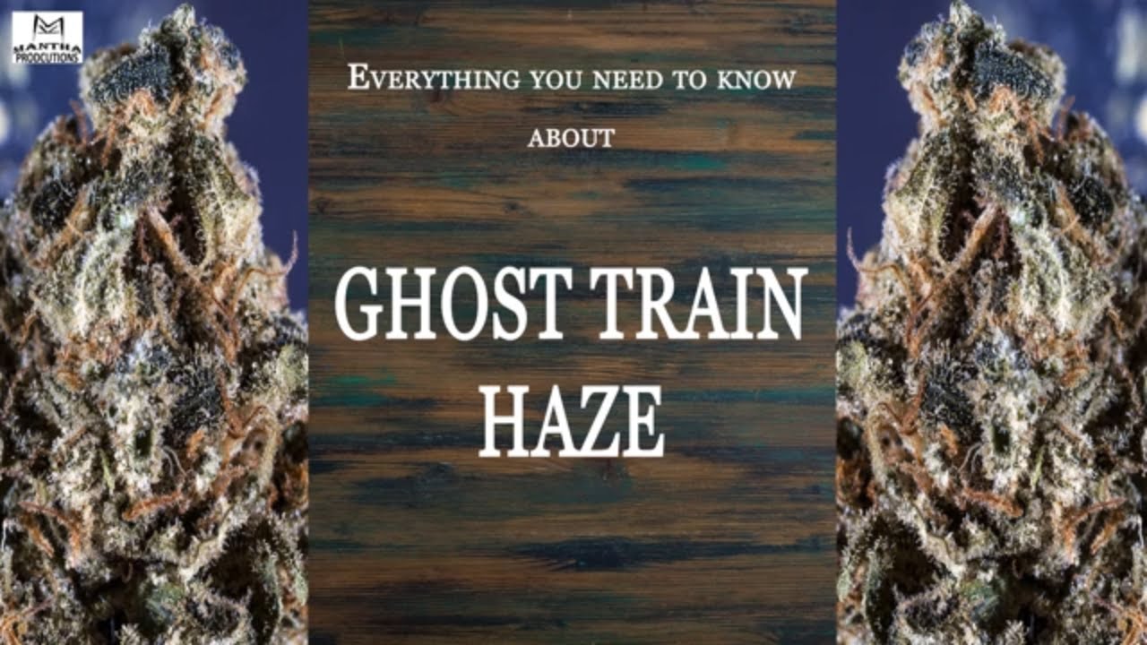 Ghost Train Haze | Best Buds Strain Spotlight