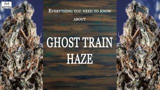 Ghost Train Haze | Best Buds Strain Spotlight