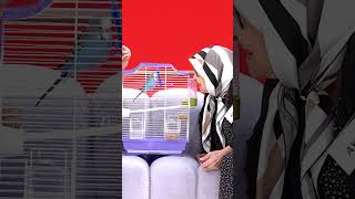 Ayşe Teyze Ve Mavişin Kavuşma Anları Ügeanlı Ügeanlıiletatlısert