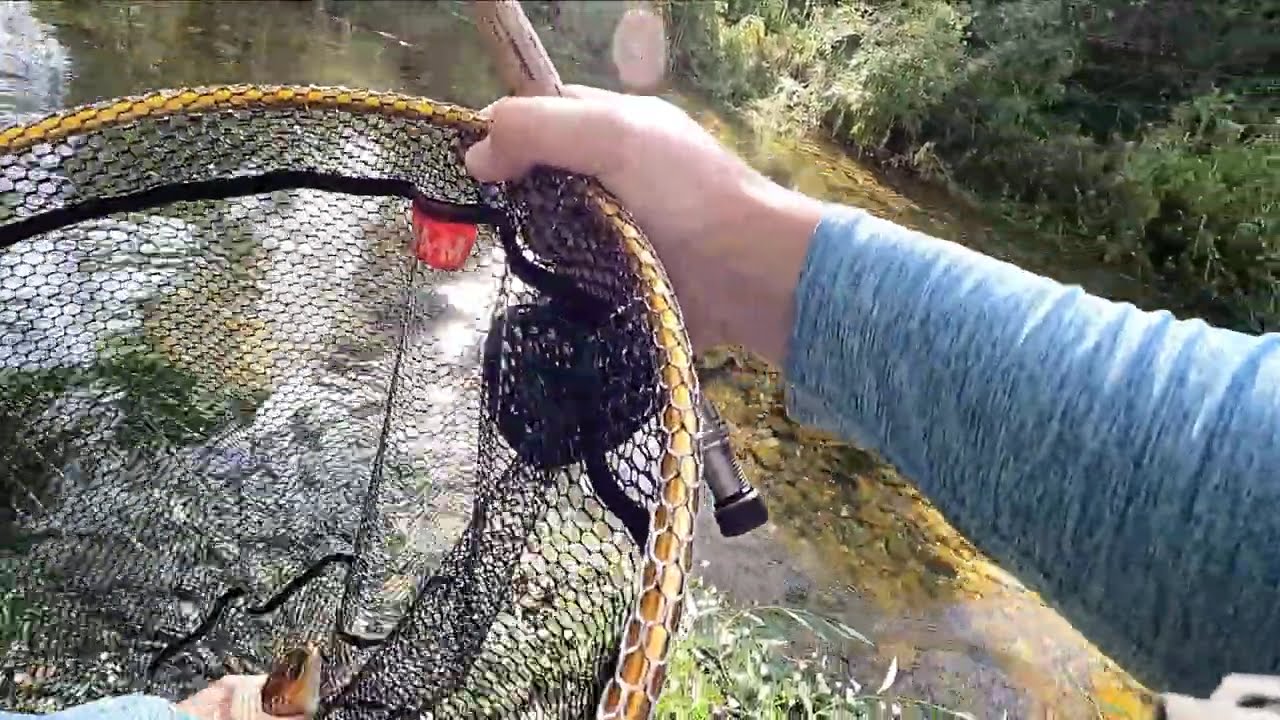 Coto de Pesca de Ucero