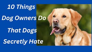 ***10 Things Dog Owners Do That Dogs Secretly Hate***