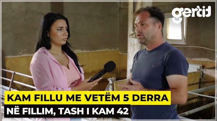 Ma mirë punoj me derra, jam shef i tyne, se me pas naj shef derr | Histori të Jetes