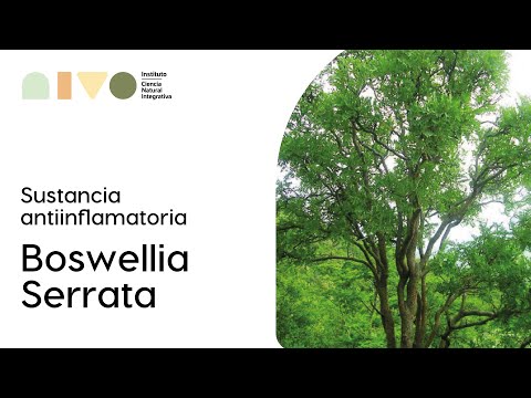 Instituto Nivo | Boswellia Serrata