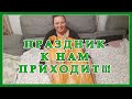 ПОЛУЧИЛИ ПОСЫЛКУ! СЮРПРИЗ УДАЛСЯ!