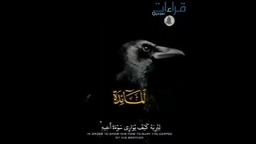خشوع وإبداع زمـــان | تلاوة 🔊 خاشعة #للشيخ_الطبلاوي_رحمه_الله ما تيسر من سورة المائدة  ✨ #قراءات ..