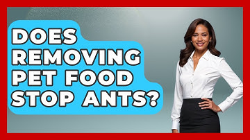 Does Removing Pet Food Stop Ants? - Insects and Invaders