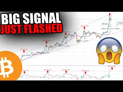 BIG BITCOIN WARNING! - This Bearish Signal Just Flashed [Why I Am Buying Altcoins Now....]