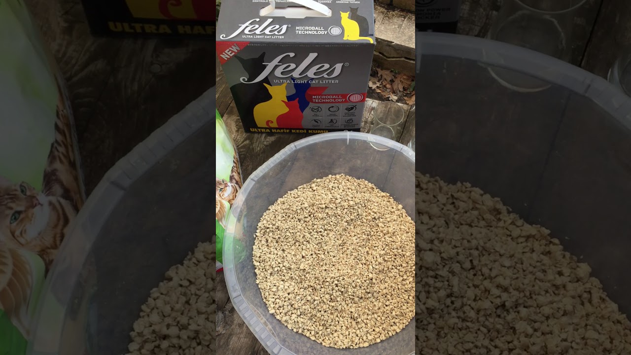 FELES ,TOZSUZ TEK KEDİ KUMU YouTube