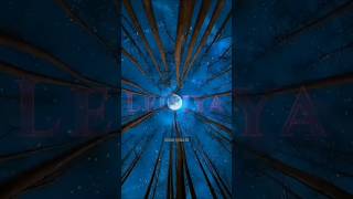 Raman s00 lovestatus s