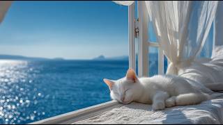Roomtone | The Mediterranean Jazz Every Summer Store Wishes It Had