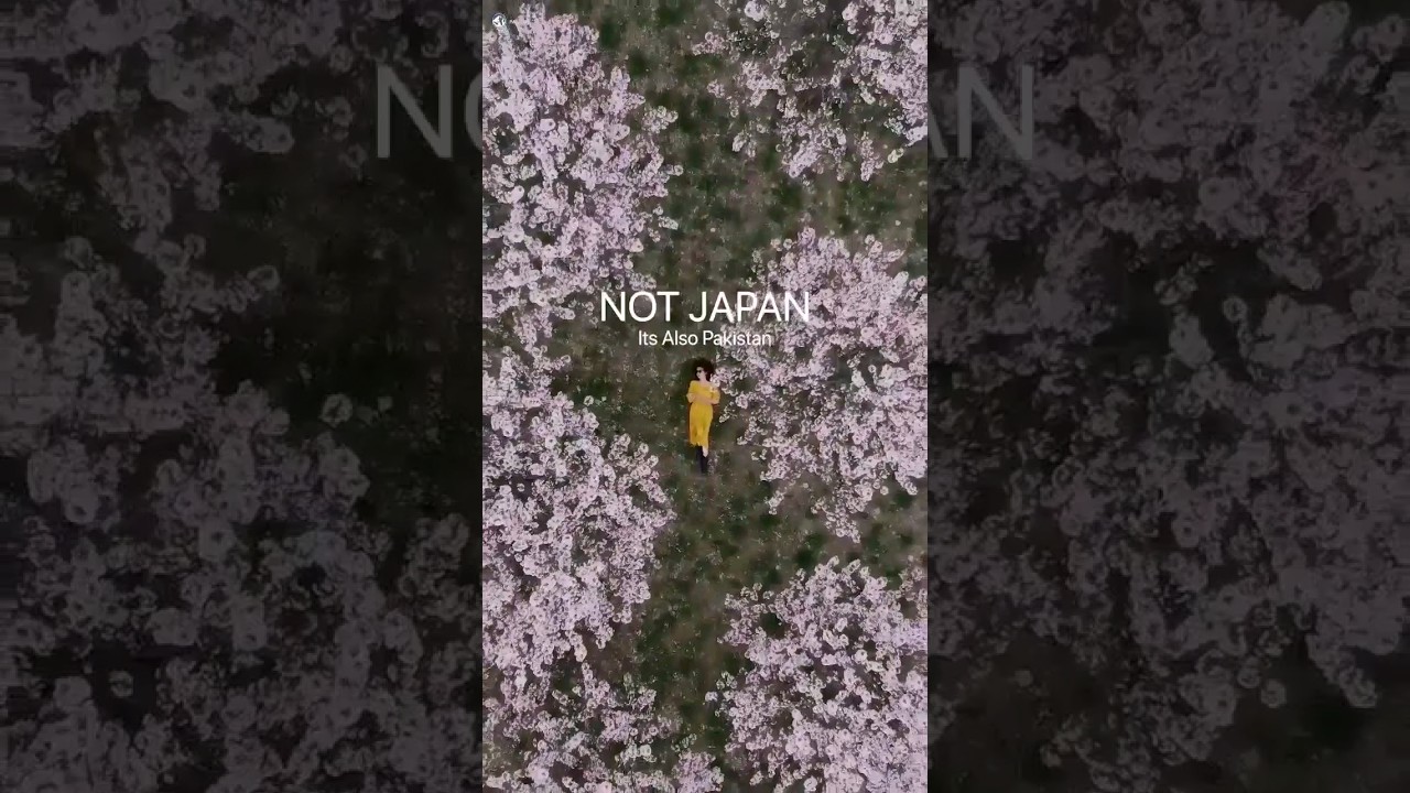 Pakistan Beautiful Monoments and Places 