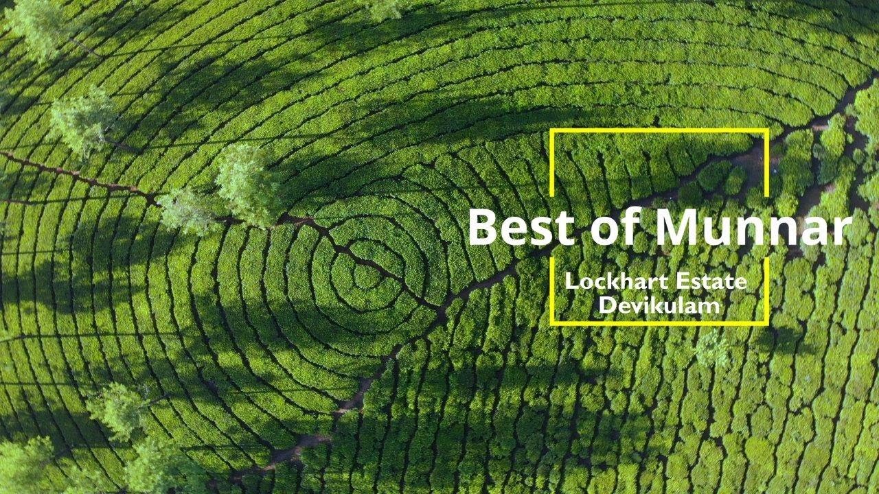 Best of Munnar | Camping in Lockhart Tea Estate | Kerala Travel vlog