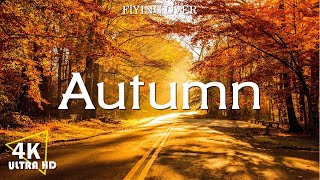 Autumn Melodies   Relaxation Film 4K   Peaceful Relaxing Music   Nature 4k Video UltraHD