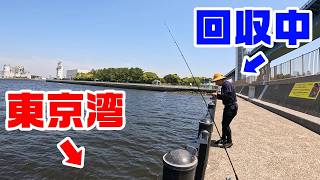 諦めて帰ろうとしていたら…