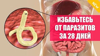 Сибирское здоровье антипаразитарная программа 💯 Лекарства от паразитов для очистки 💣